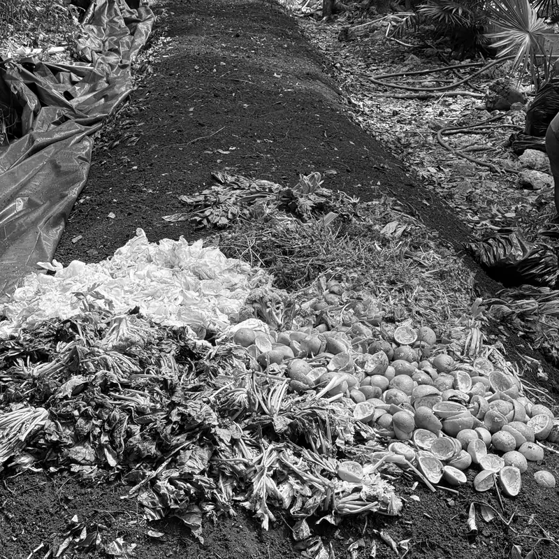 Capas de materia organica antes de cubrirse con tierra