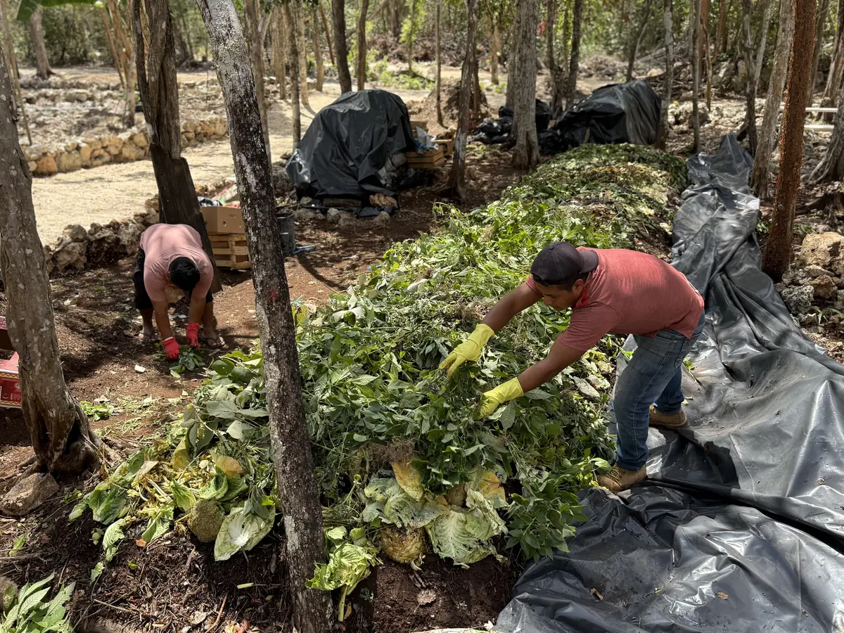 Dos personas armando la pila de composta entre los arboles